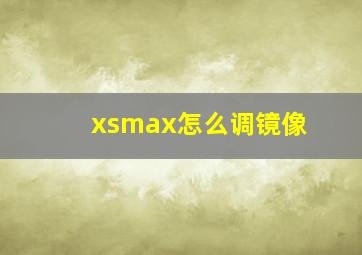 xsmax怎么调镜像