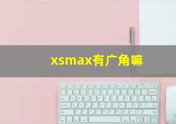 xsmax有广角嘛