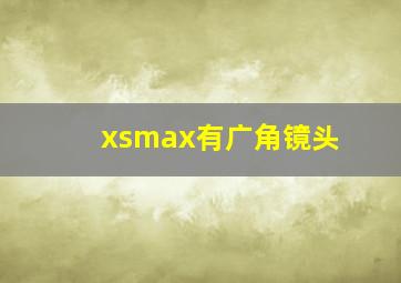 xsmax有广角镜头