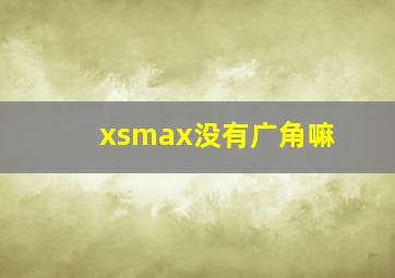 xsmax没有广角嘛