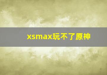 xsmax玩不了原神