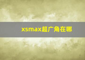 xsmax超广角在哪