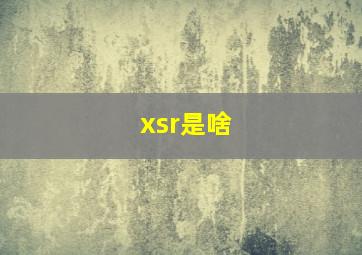 xsr是啥