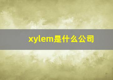 xylem是什么公司