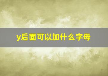 y后面可以加什么字母