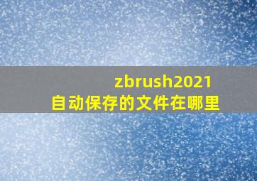 zbrush2021自动保存的文件在哪里