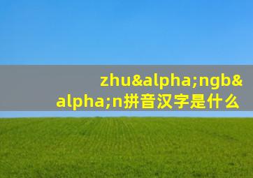 zhuαngbαn拼音汉字是什么