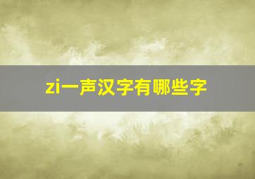 zi一声汉字有哪些字