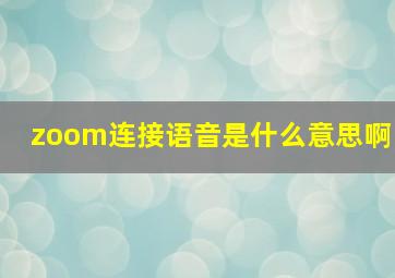 zoom连接语音是什么意思啊