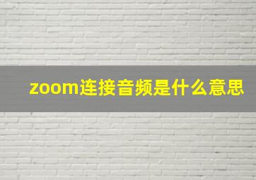 zoom连接音频是什么意思