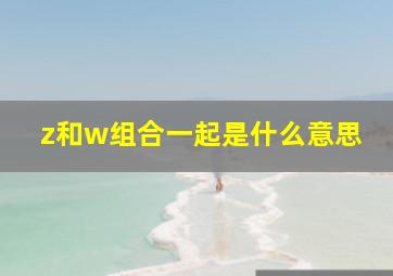 z和w组合一起是什么意思