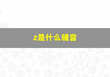 z是什么辅音