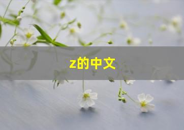 z的中文