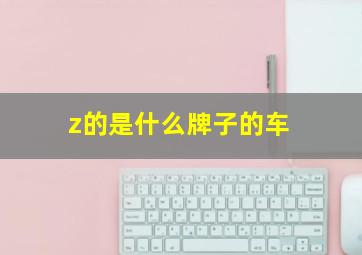 z的是什么牌子的车