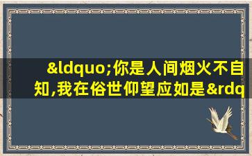 “你是人间烟火不自知,我在俗世仰望应如是”