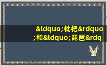 “枇杷”和“琵琶”类似的故事