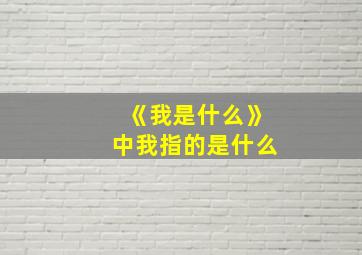 《我是什么》中我指的是什么