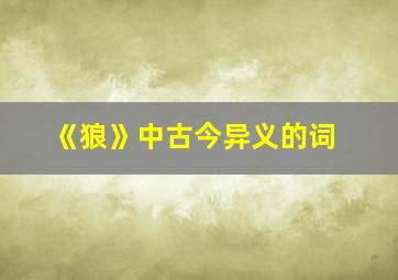 《狼》中古今异义的词