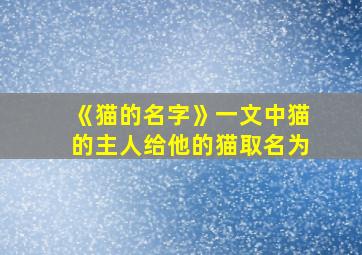 《猫的名字》一文中猫的主人给他的猫取名为