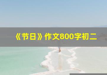 《节日》作文800字初二