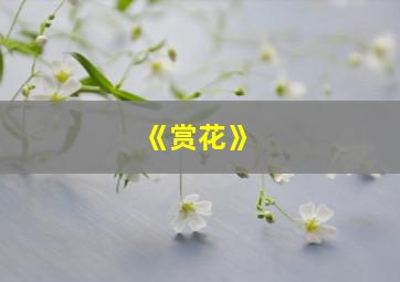 《赏花》