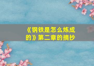 《钢铁是怎么炼成的》第二章的摘抄