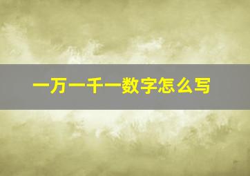 一万一千一数字怎么写