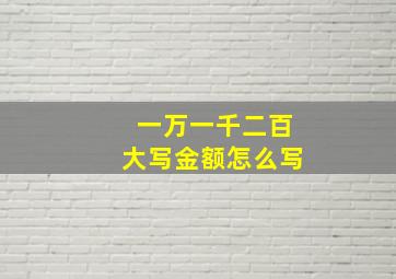 一万一千二百大写金额怎么写