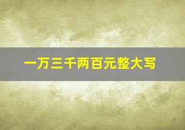 一万三千两百元整大写