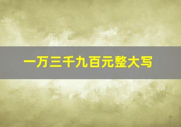 一万三千九百元整大写