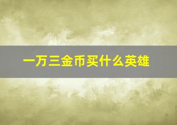 一万三金币买什么英雄