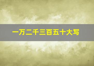 一万二千三百五十大写