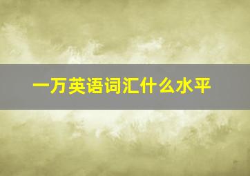 一万英语词汇什么水平