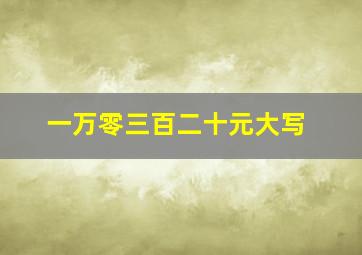 一万零三百二十元大写