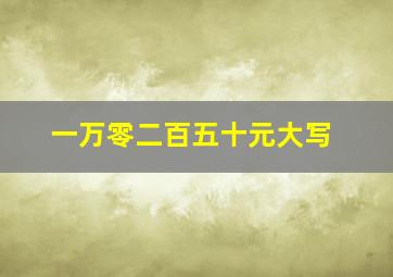 一万零二百五十元大写