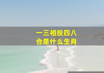 一三相投四八合是什么生肖