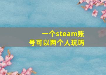 一个steam账号可以两个人玩吗