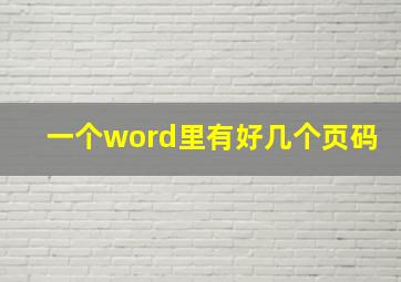 一个word里有好几个页码