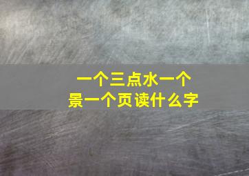 一个三点水一个景一个页读什么字