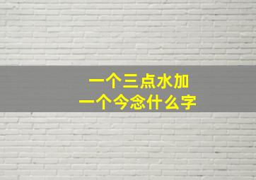 一个三点水加一个今念什么字