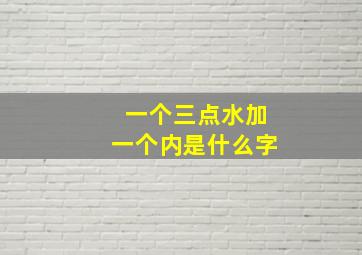 一个三点水加一个内是什么字