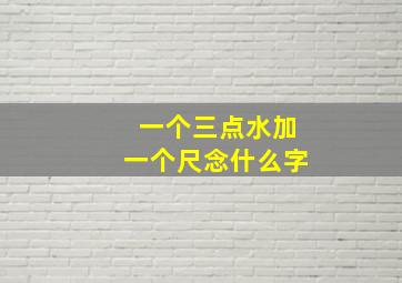 一个三点水加一个尺念什么字