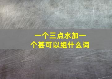 一个三点水加一个甚可以组什么词