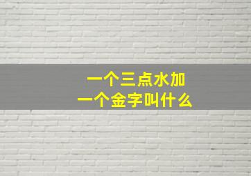 一个三点水加一个金字叫什么