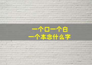 一个口一个白一个本念什么字