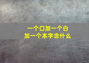 一个口加一个白加一个本字念什么