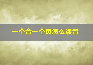 一个合一个页怎么读音