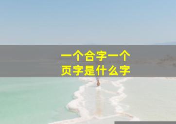 一个合字一个页字是什么字