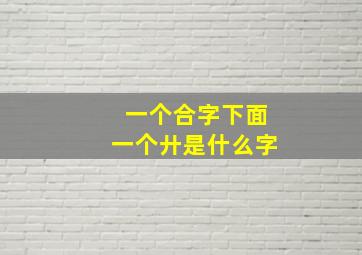 一个合字下面一个廾是什么字