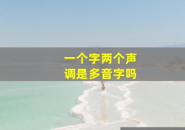 一个字两个声调是多音字吗